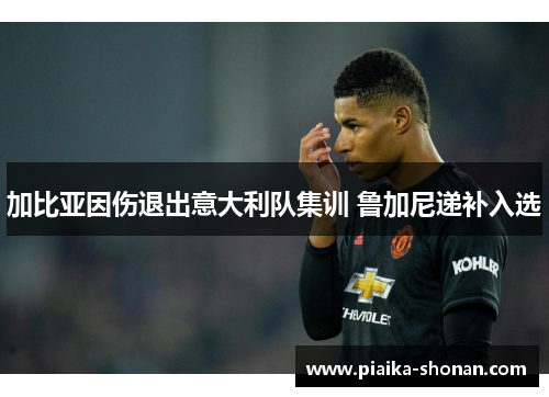 加比亚因伤退出意大利队集训 鲁加尼递补入选